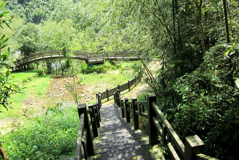 Wooden Walkway in Forest — Green, Serene, Afternoon, Photograph, Bridge