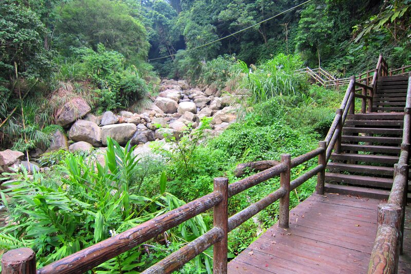 Wooden Walkway in Forest — Green, Serene, Afternoon, Photograph