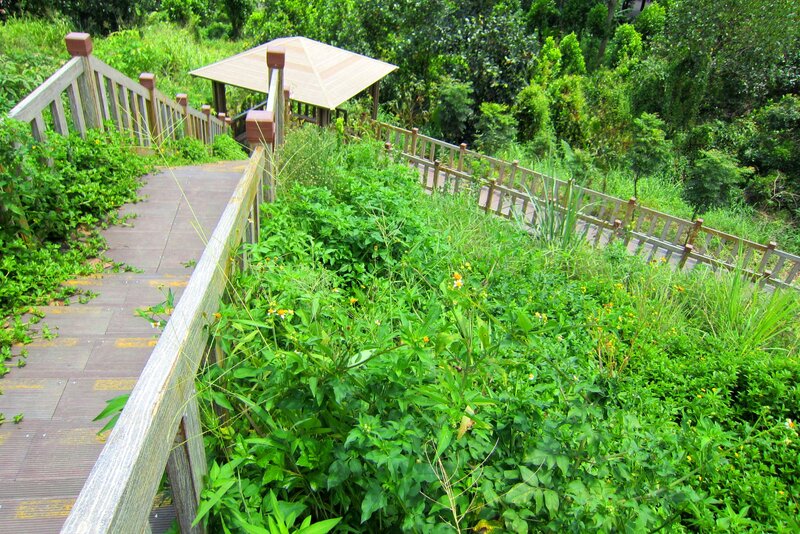 Wooden Walkway in Garden — Green