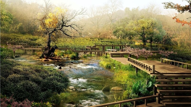 Wooden Walkway in Garden