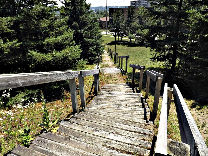 Wooden Walkway in Park — Brown