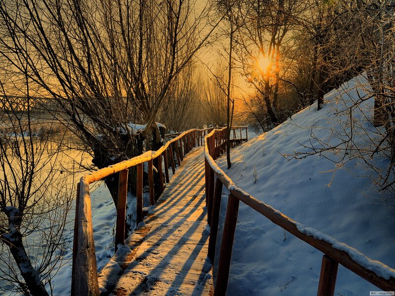 Wooden Walkway in Snow — White