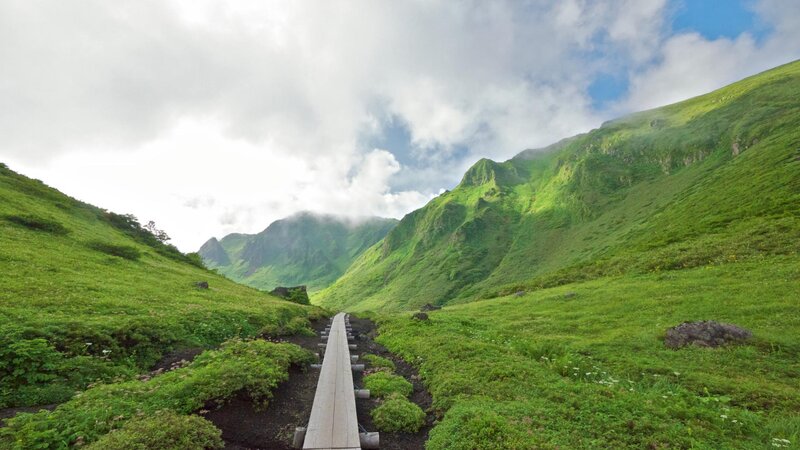 Wooden Walkway in Valley