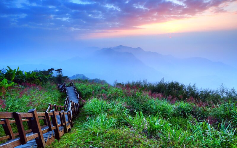Wooden Walkway on Hillside — Green