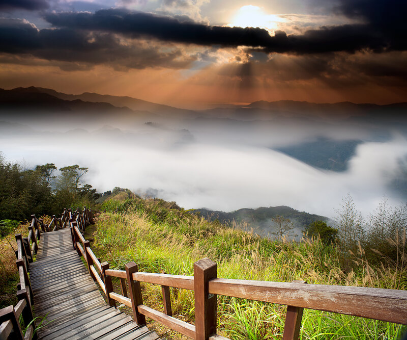 Wooden Walkway on Hillside