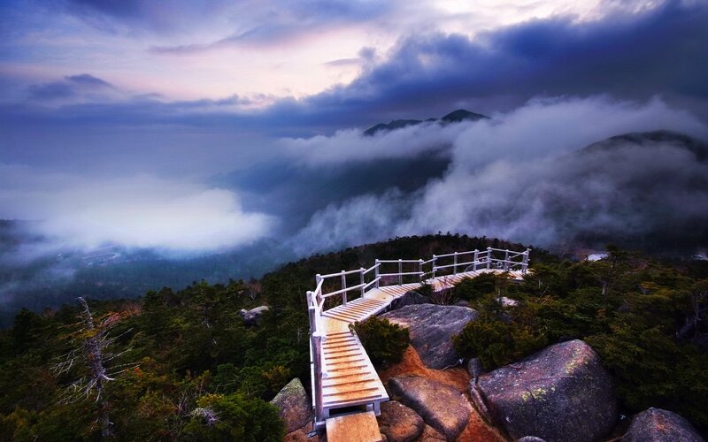 Wooden Walkway on Mountain