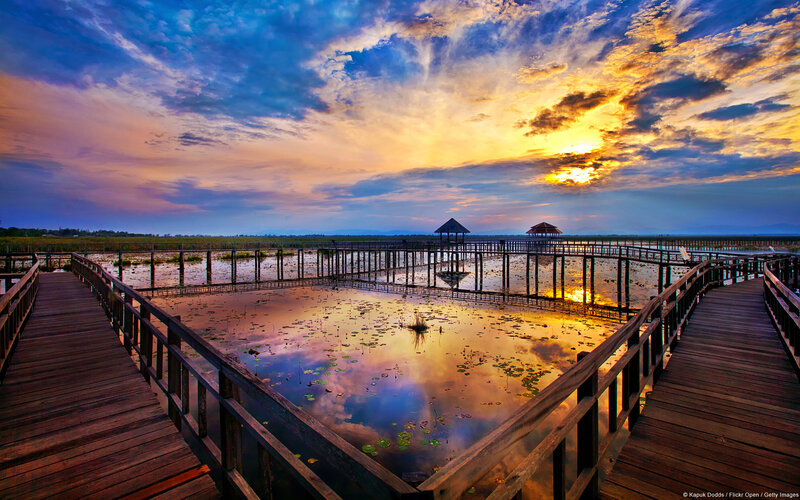 Wooden Walkway over Pond