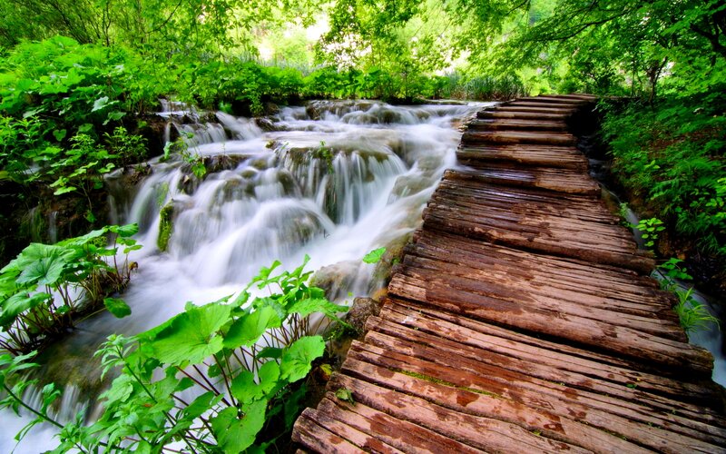 Wooden Walkway over Stream