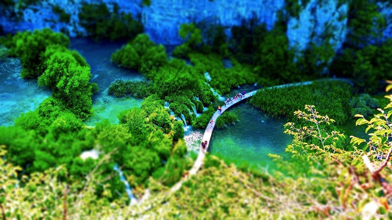 Wooden walkway through green wetlands