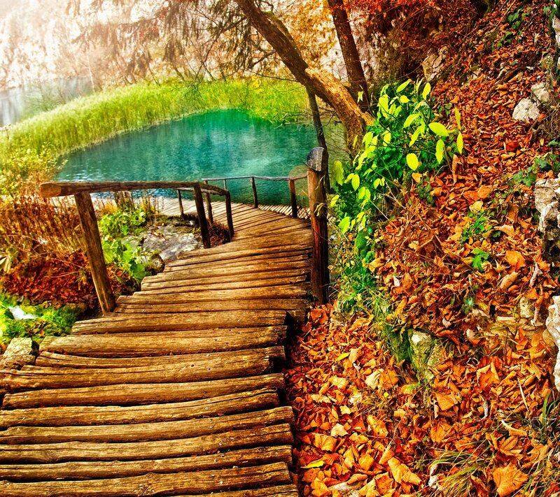 Wooden Walkway to Lake