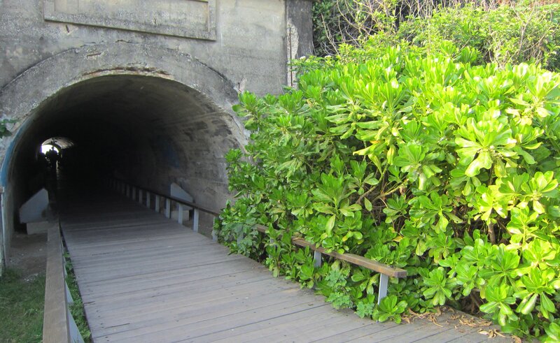 Wooden Walkway Tunnel