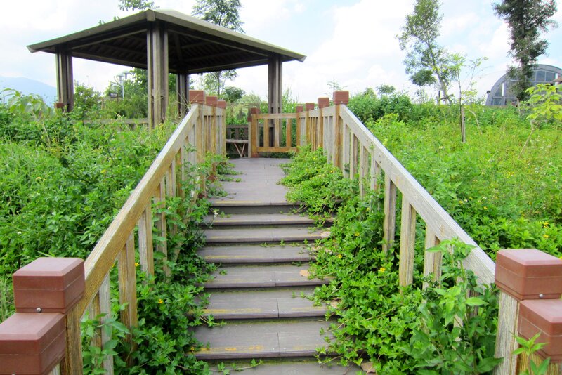 Wooden Walkway with Gazebo