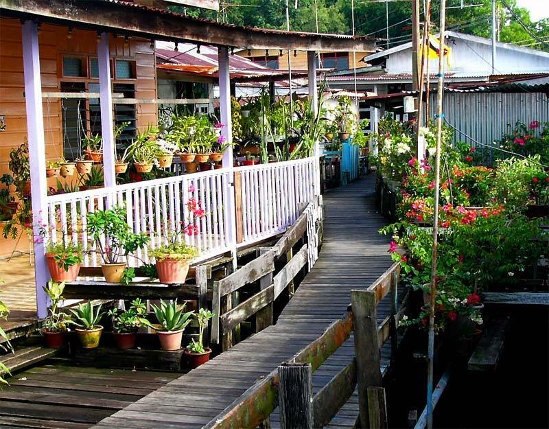 Wooden walkway with potted plants