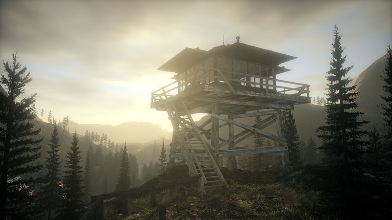 wooden watchtower in forest