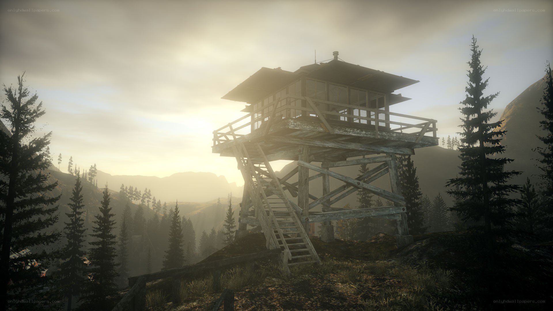 wooden watchtower in forest