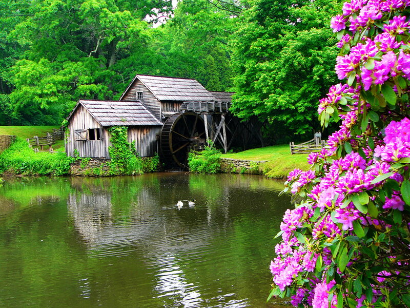 Wooden Watermill by Pond