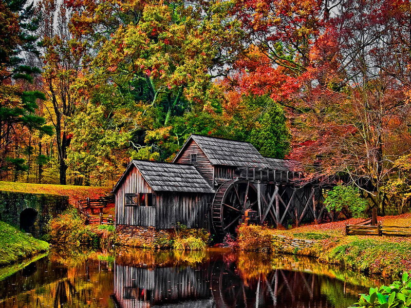 Wooden Watermill — Green, Serene, Autumn