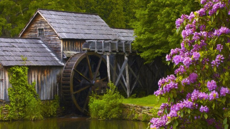 Wooden Watermill — Green, Serene, Spring, Photograph, Flowers