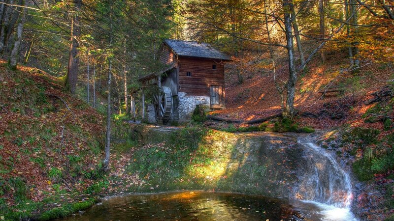Wooden Watermill in Forest — Brown