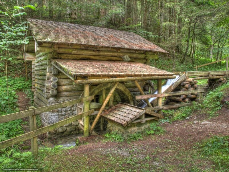 Wooden Watermill in Forest — Green, Serene, Afternoon