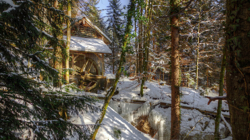 Wooden Watermill in Forest — Green