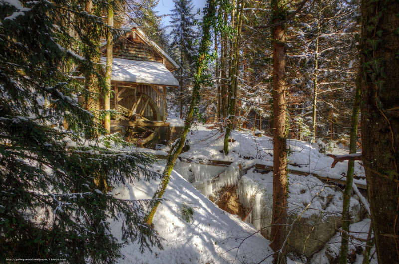 Wooden Watermill in Forest — White, Serene