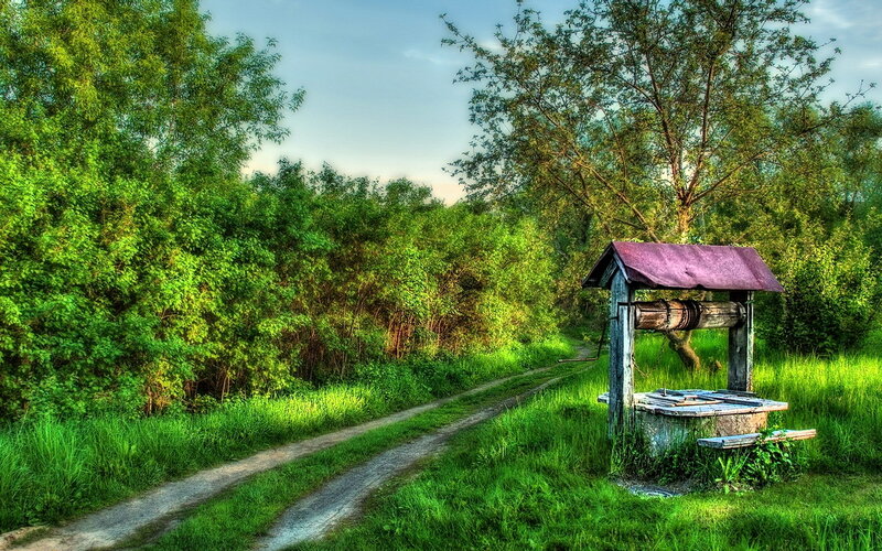 Wooden Well in Field