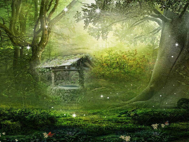 Wooden Well in Forest — Green, Serene