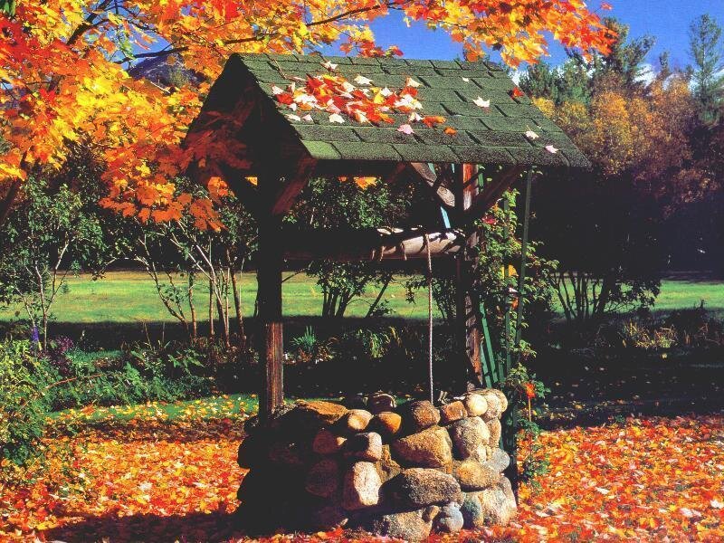 Wooden Well with Autumn Leaves