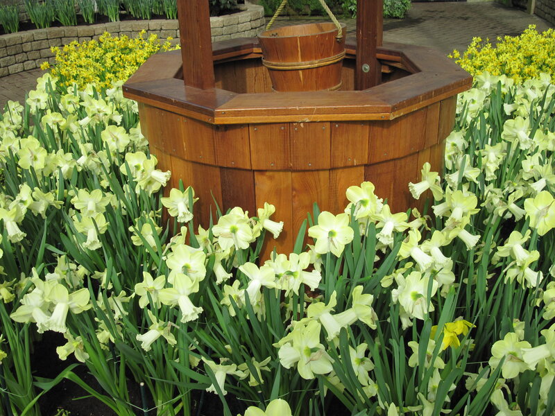 Wooden Well with Daffodils