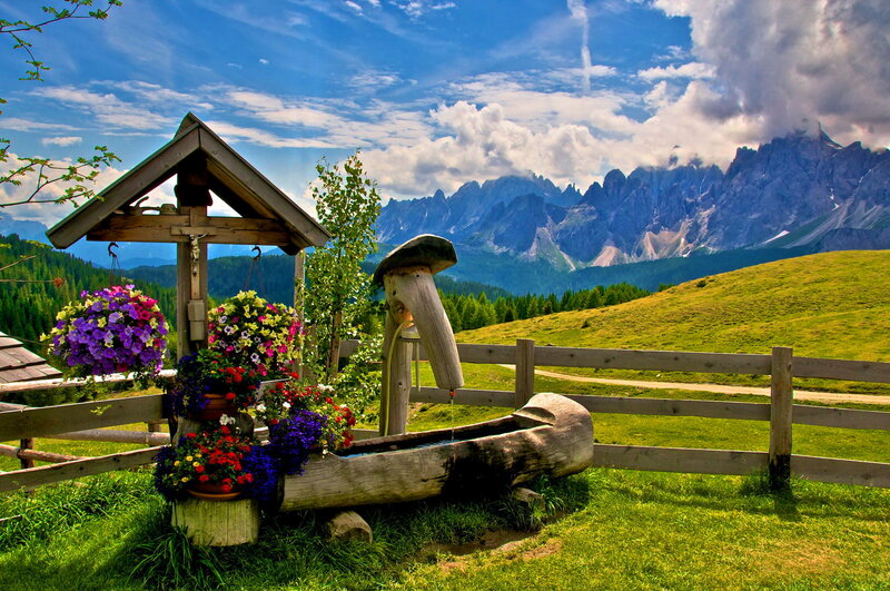 Wooden Well with Flowers