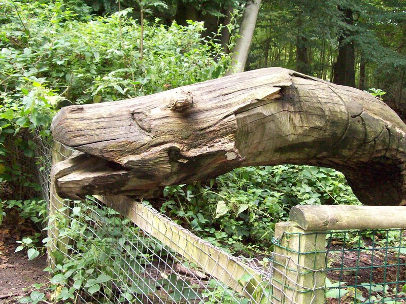 Wooden Whale Sculpture