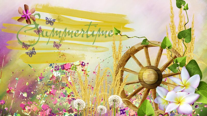 Wooden Wheel in Field