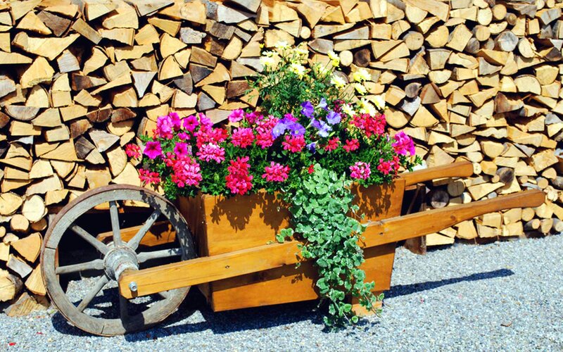 Wooden Wheelbarrow with Flowers — Brown