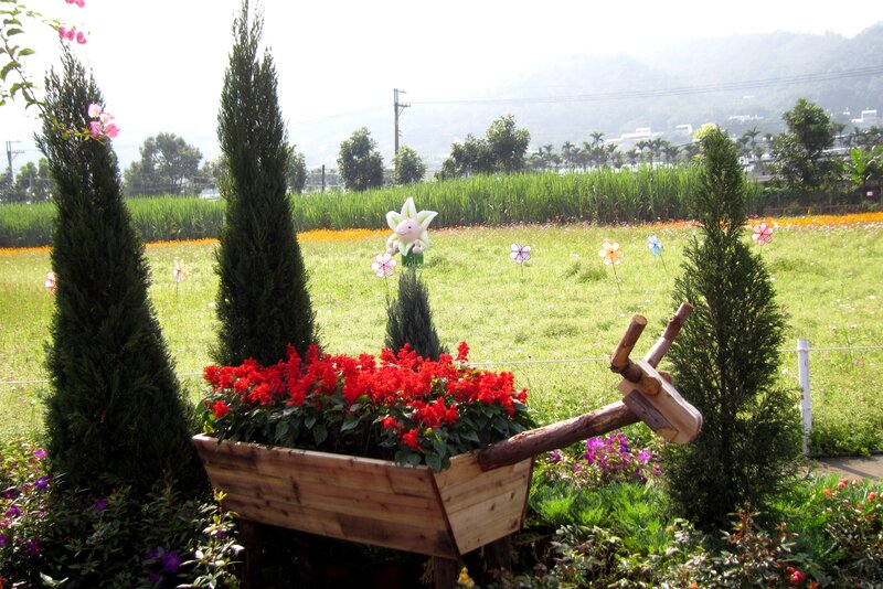 Wooden Wheelbarrow with Flowers — Red