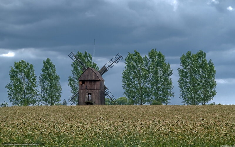Wooden Windmill in Field — Green