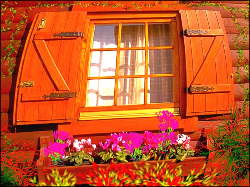 Wooden Window with Flowers