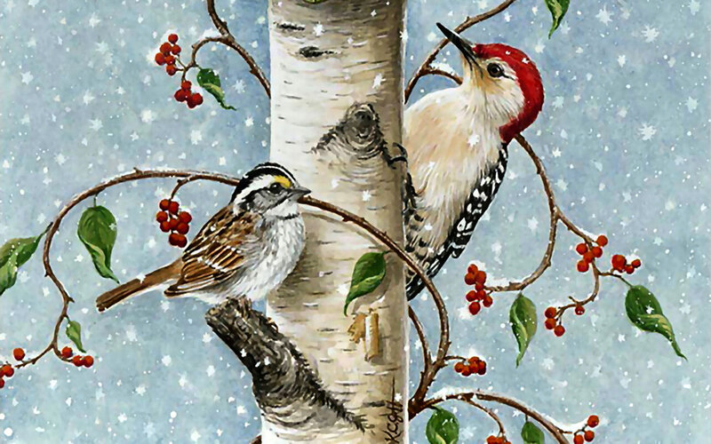 Woodpecker and Sparrow
