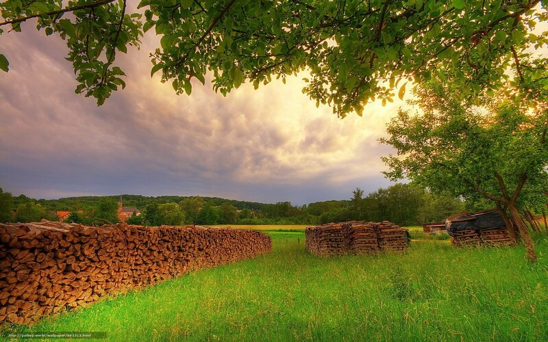 Woodpile in a Green Field