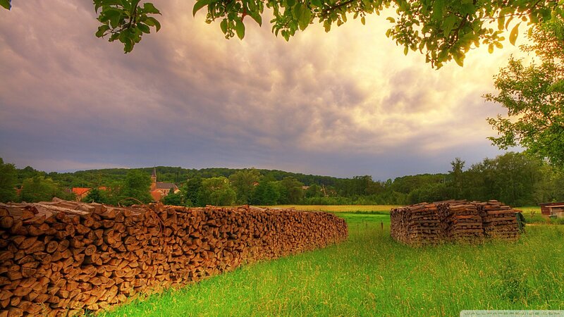 Woodpile in a rural landscape