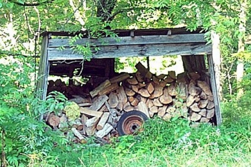 Woodpile in Shed