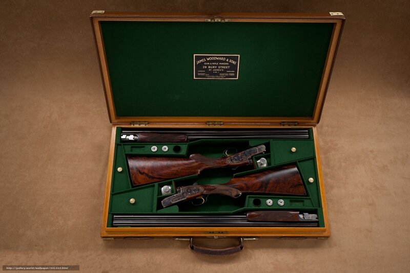 Woodward gun case