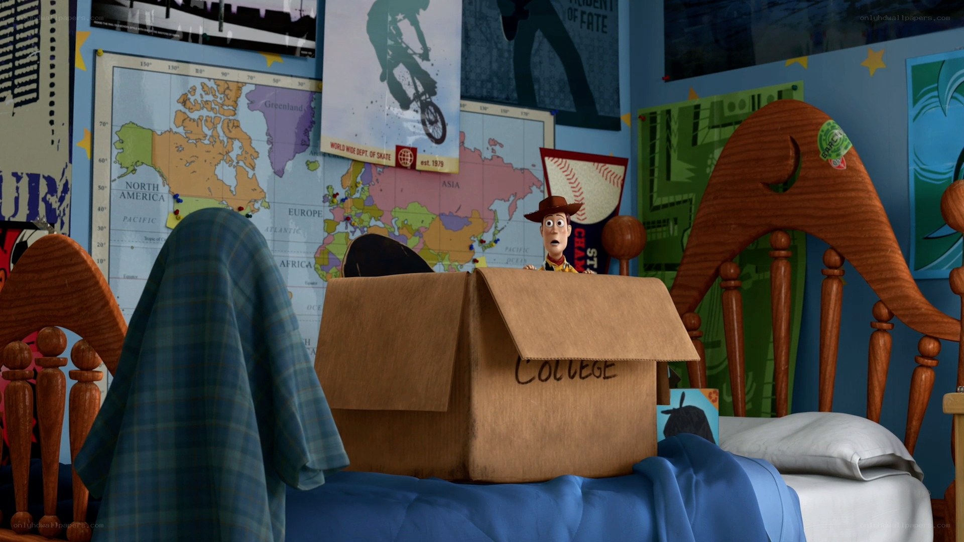 Woody in a college box