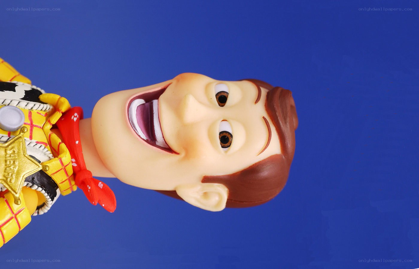 Woody toy figure close-up