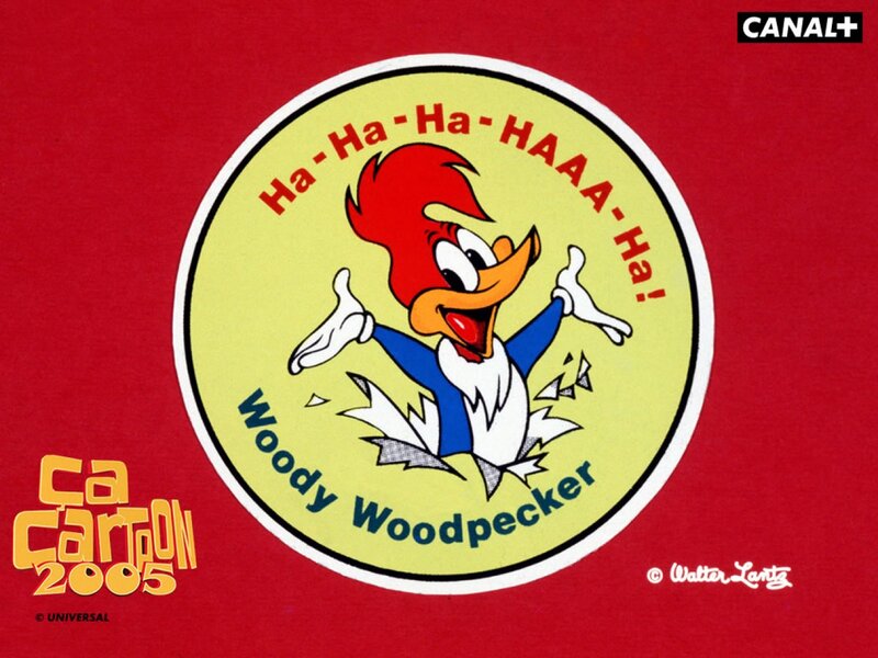 Woody Woodpecker Cartoon