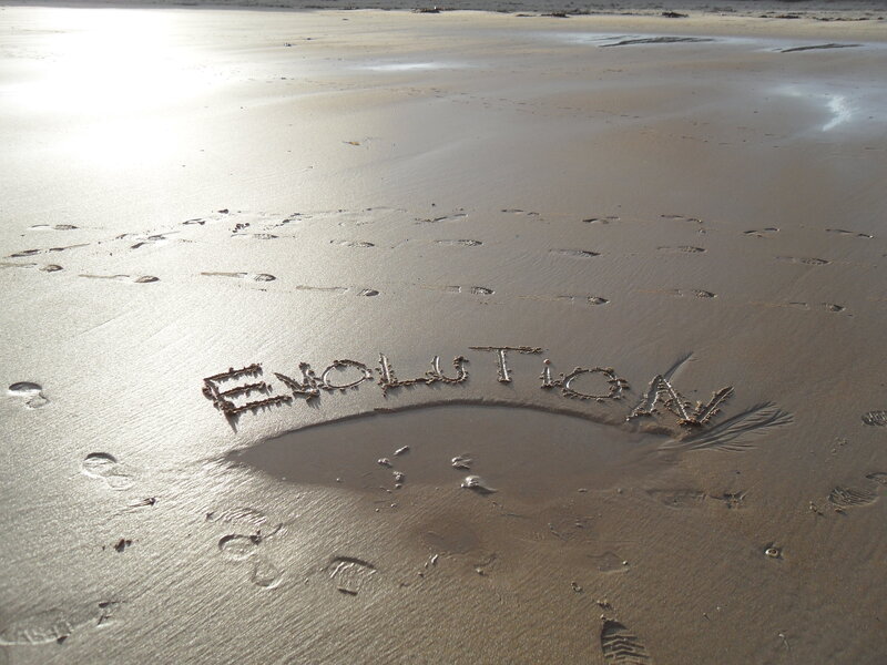 Word Evolution on Beach