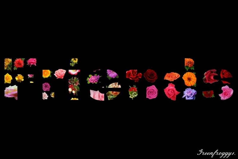Word Friends Made of Flowers
