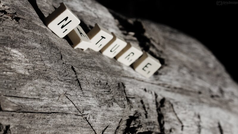 word nature on wooden surface