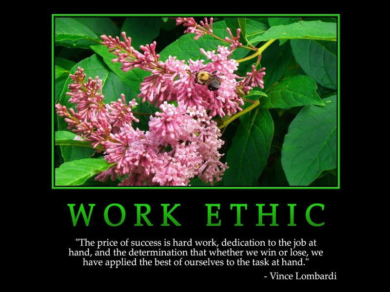 work ethic motivation