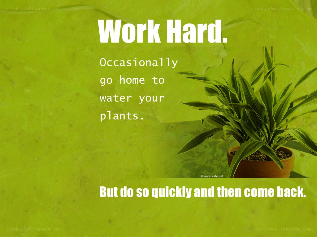 Work hard and water plants